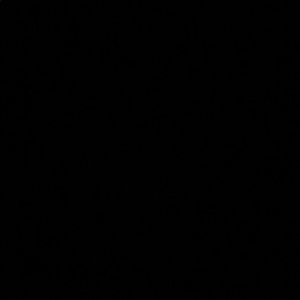 Meet your Posher, Samia